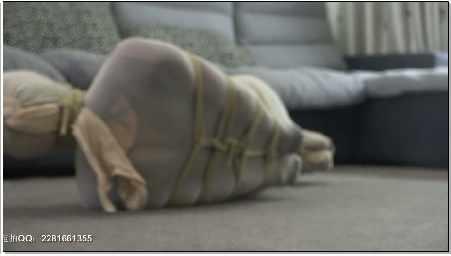 【灰鸟原创】丝袜女飞贼被擒记