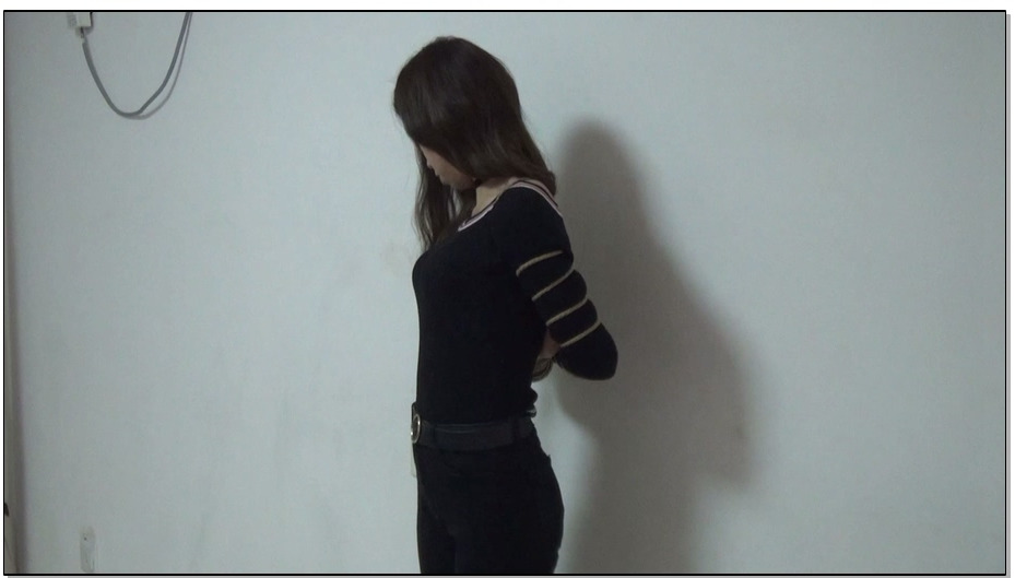 【灰鸟原创】带镣铐的保姆