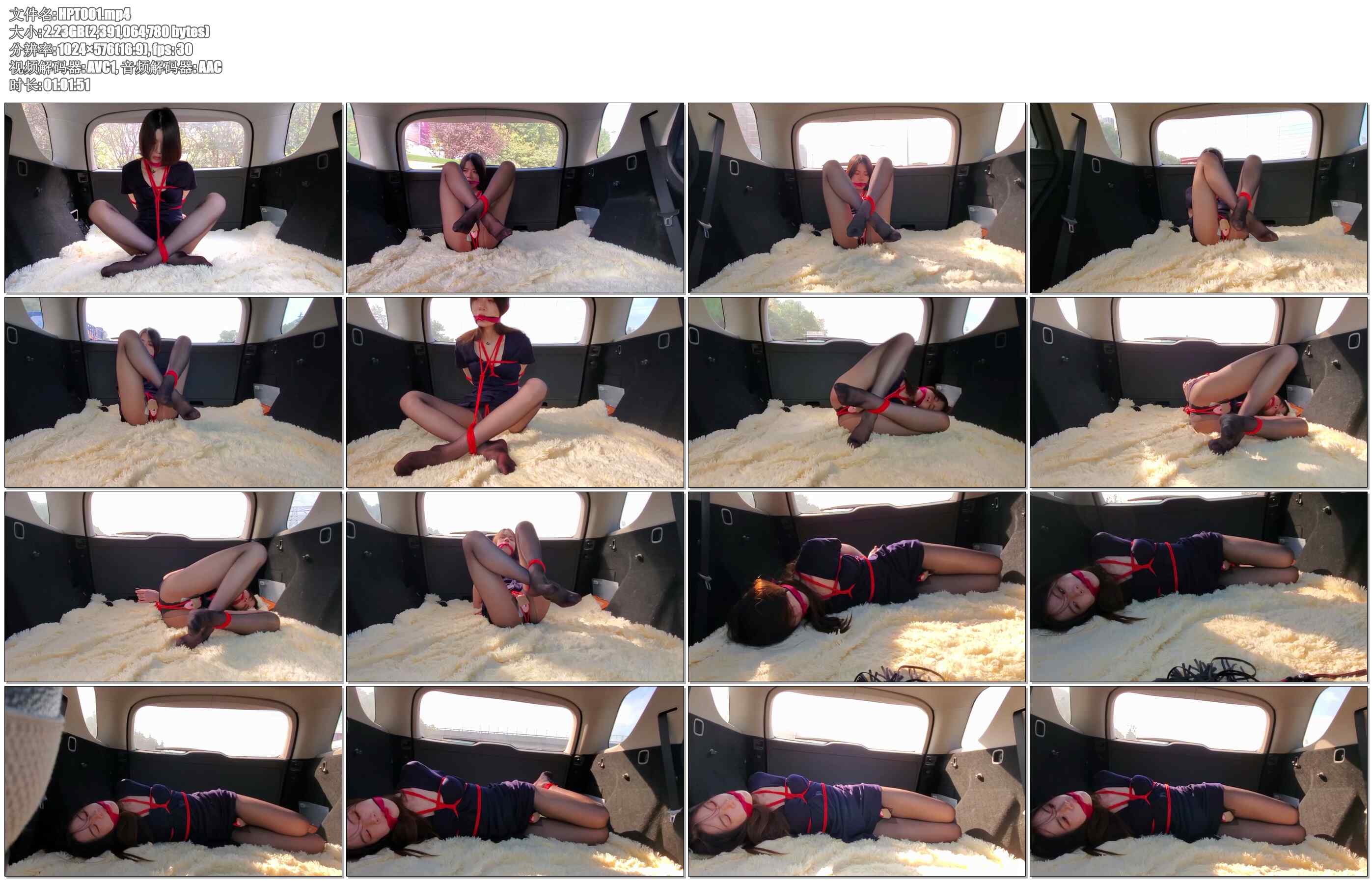 【琥珀堂】长途贩运 桃缚、驷马、时不时、鞭打调教