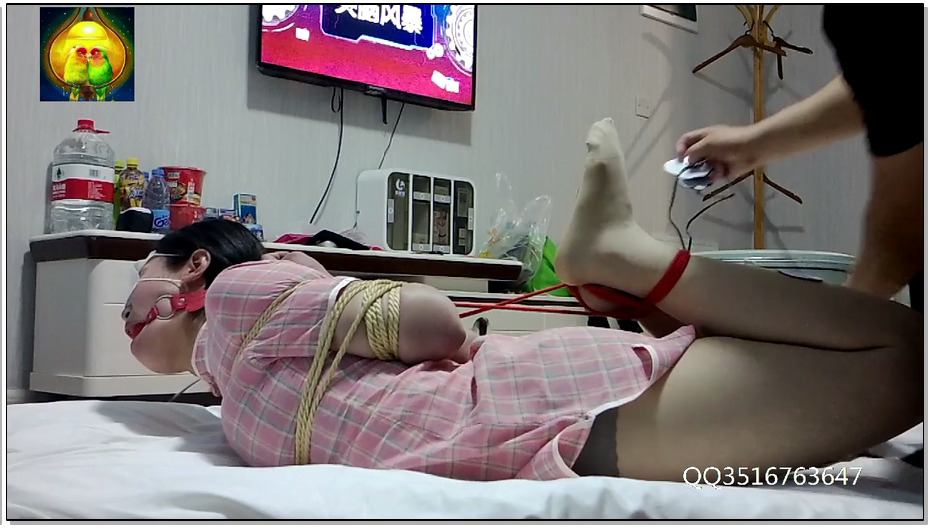 【江山原创】小雏旗袍口球+电极片+后手观音+极限驷马