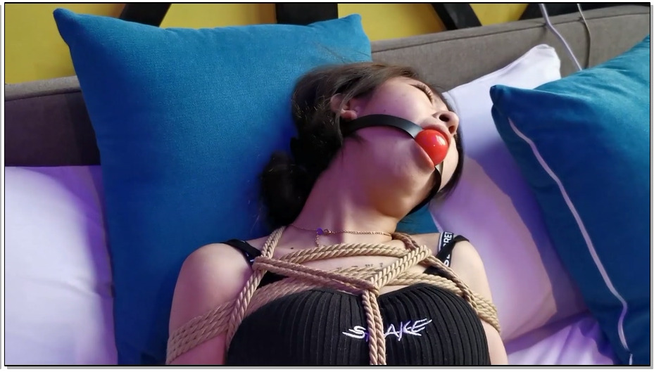 【JS原创】瑾萱-驷马捆绑