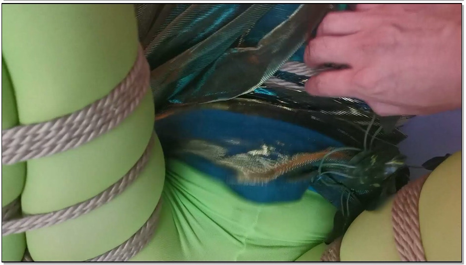 【JS原创】艾诺-毒藤女