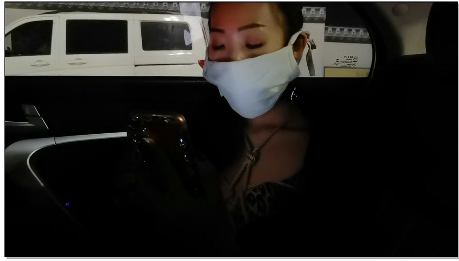 【JS原创】夜诱3 艾诺龟甲震动外出