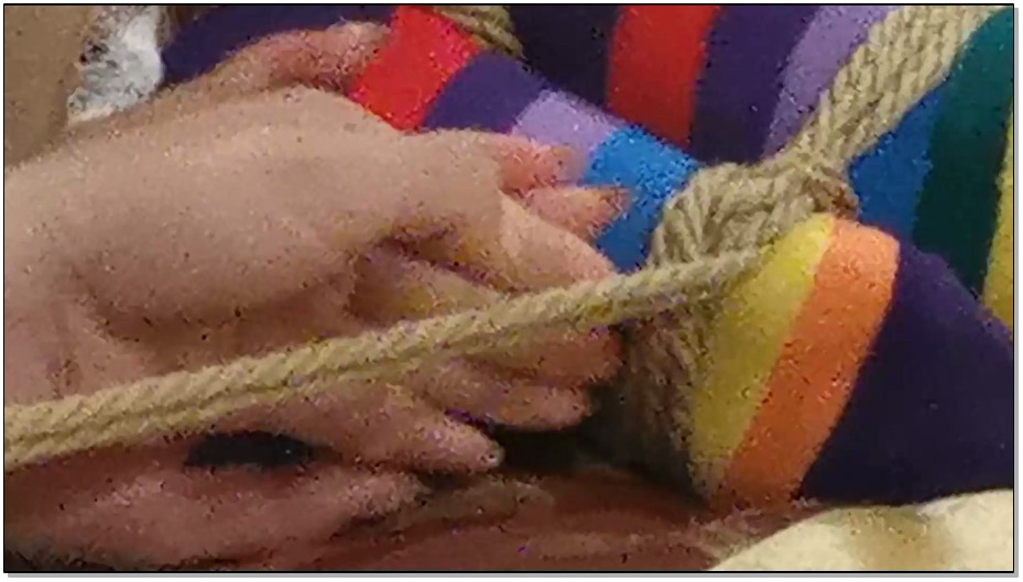 【JS原创】桃子 超紧驷马 强制刺激