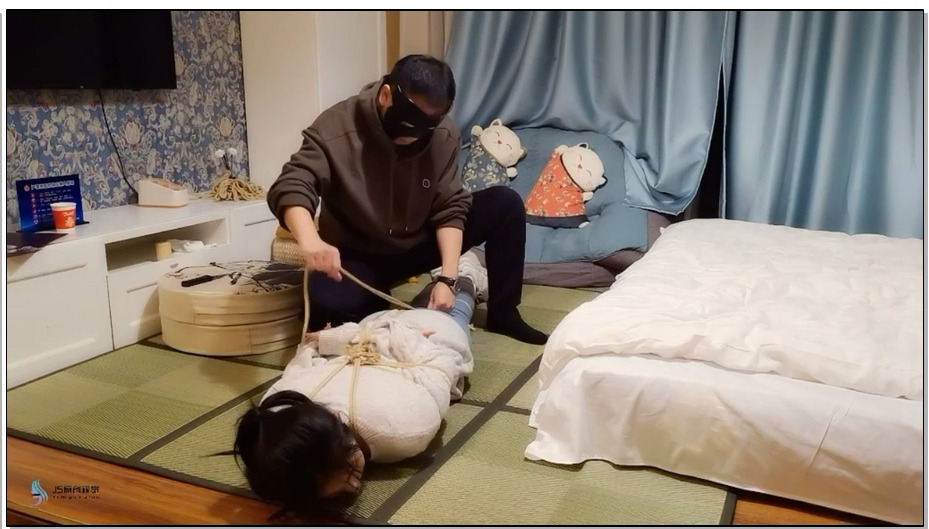 【JS原创】教师劫2