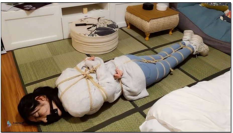 【JS原创】教师劫2