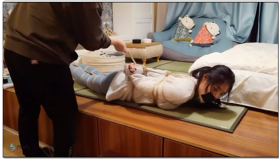 【JS原创】教师劫2