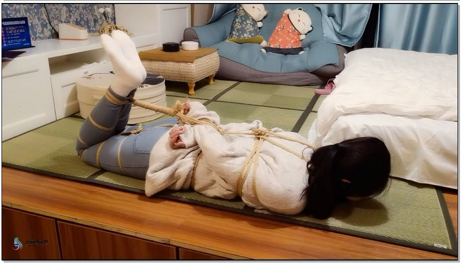 【JS原创】教师劫2