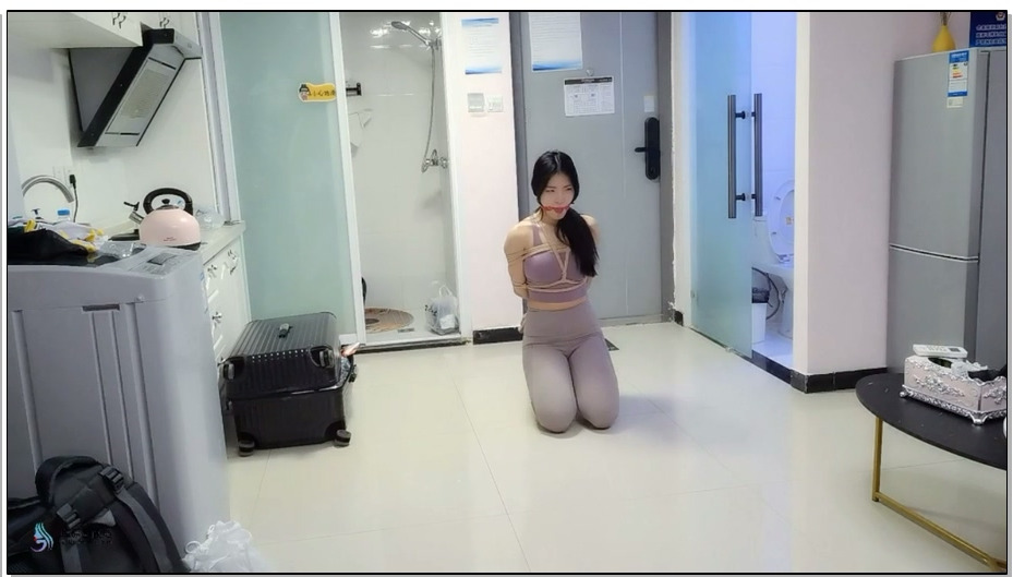 【JS原创】校园霸陵事件 玖念