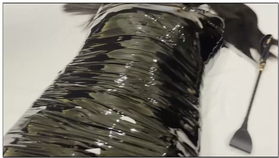 【杰仔】小茜与新人静萱 k9＋电动牙刷＋电极片＋命令＋胶带捆绑大字sp 