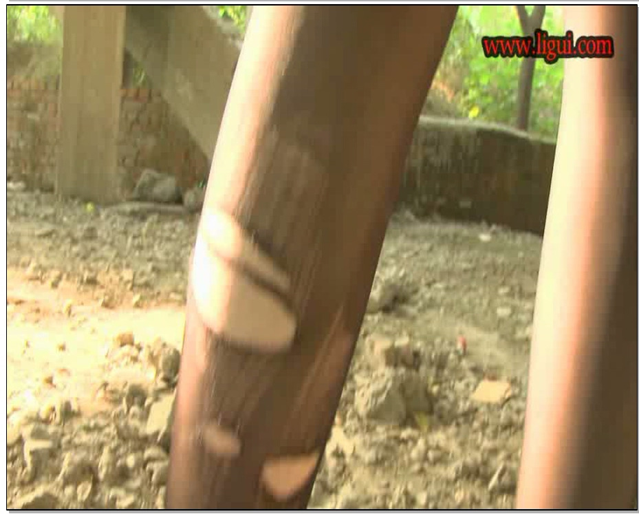 【丽柜美束】商务休闲会所拍摄纪实 丝丝