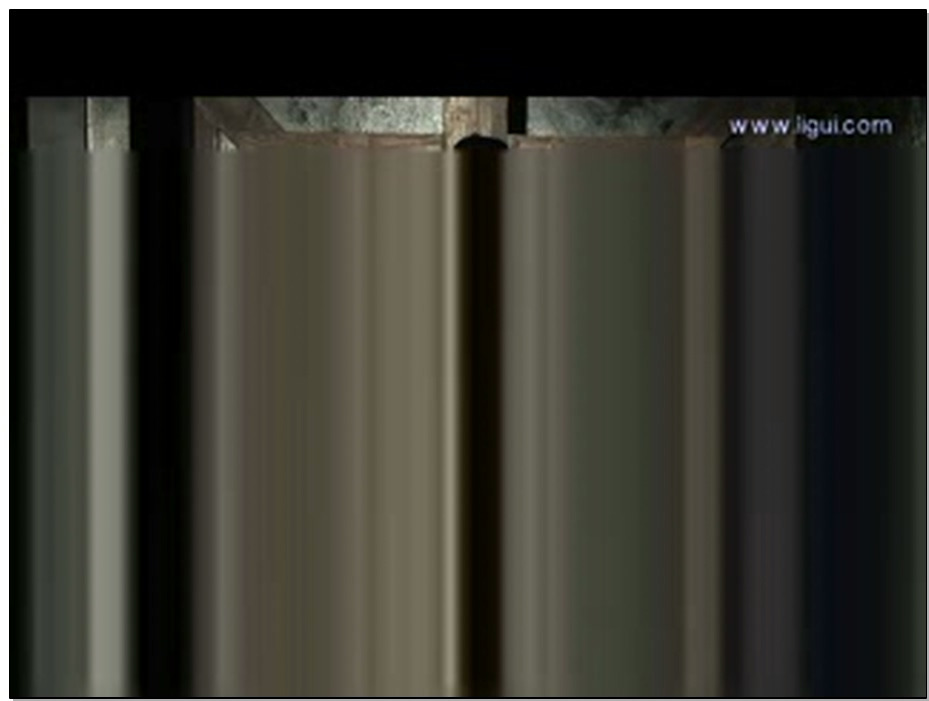 【丽柜美束】伊园 监狱捆铐狼性女人