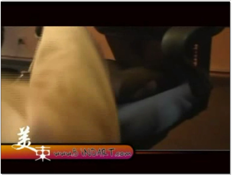 【丽柜美束】白领爱玩调教-琳达 雯雯