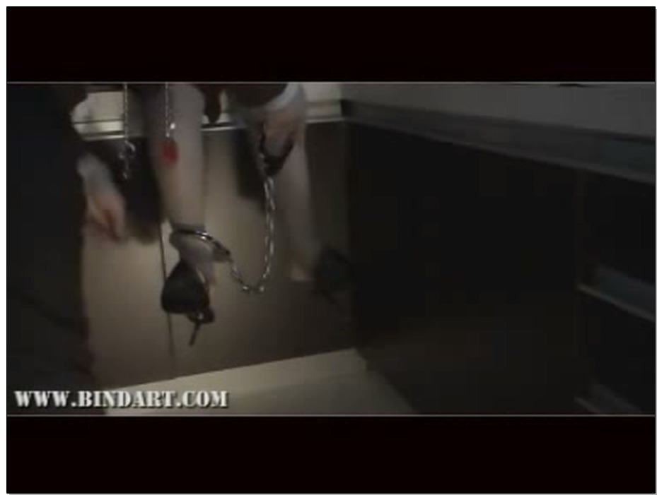 【丽柜美束】土豪家的厨娘 CC