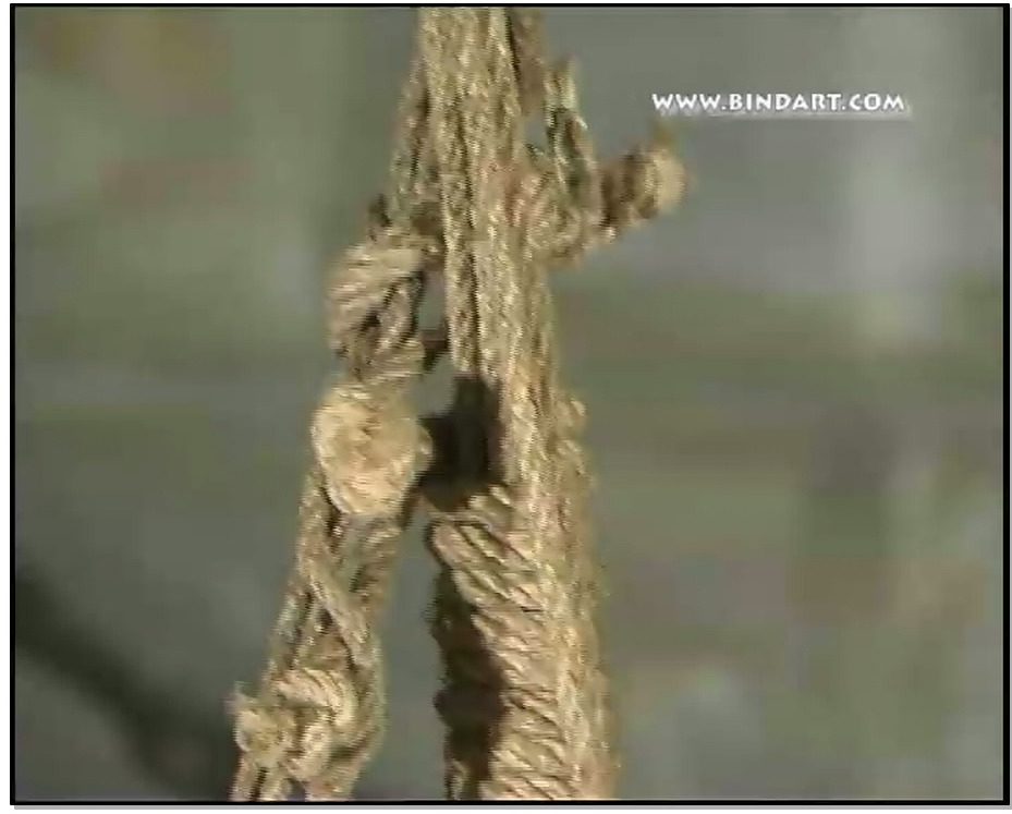 【丽柜美束】璐璐监狱酒吧