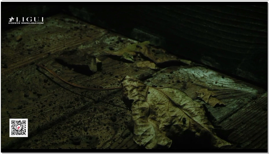 【丽柜美束】2017 活埋第一季 罗雅文（原版官方视频）