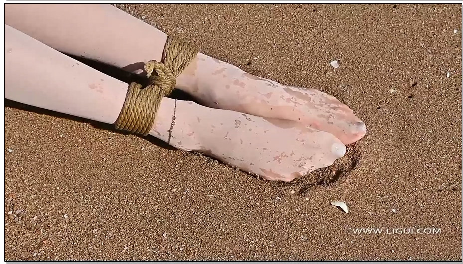 【丽柜美束】浪纱里的美人鱼 兔子