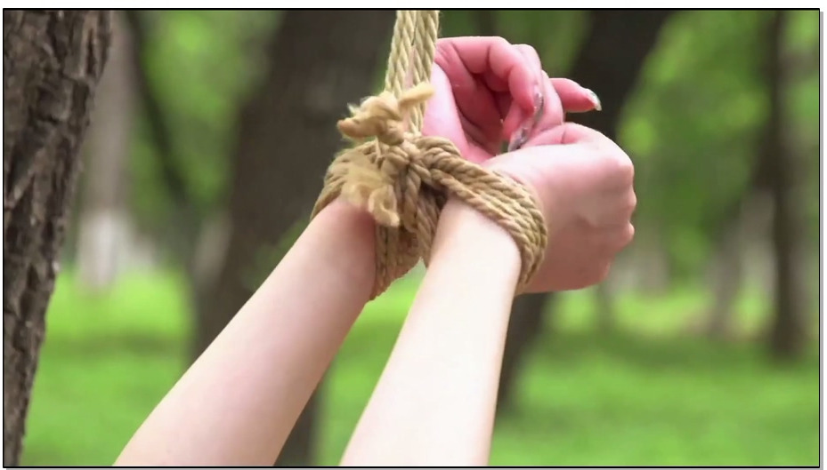 【丽柜美束】紧缚密林深处 下