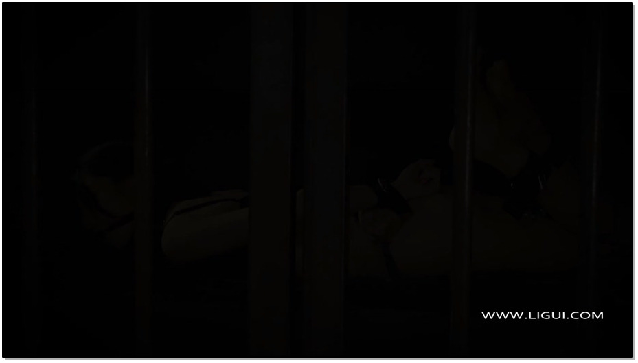 【丽柜美束】禁享狱丝