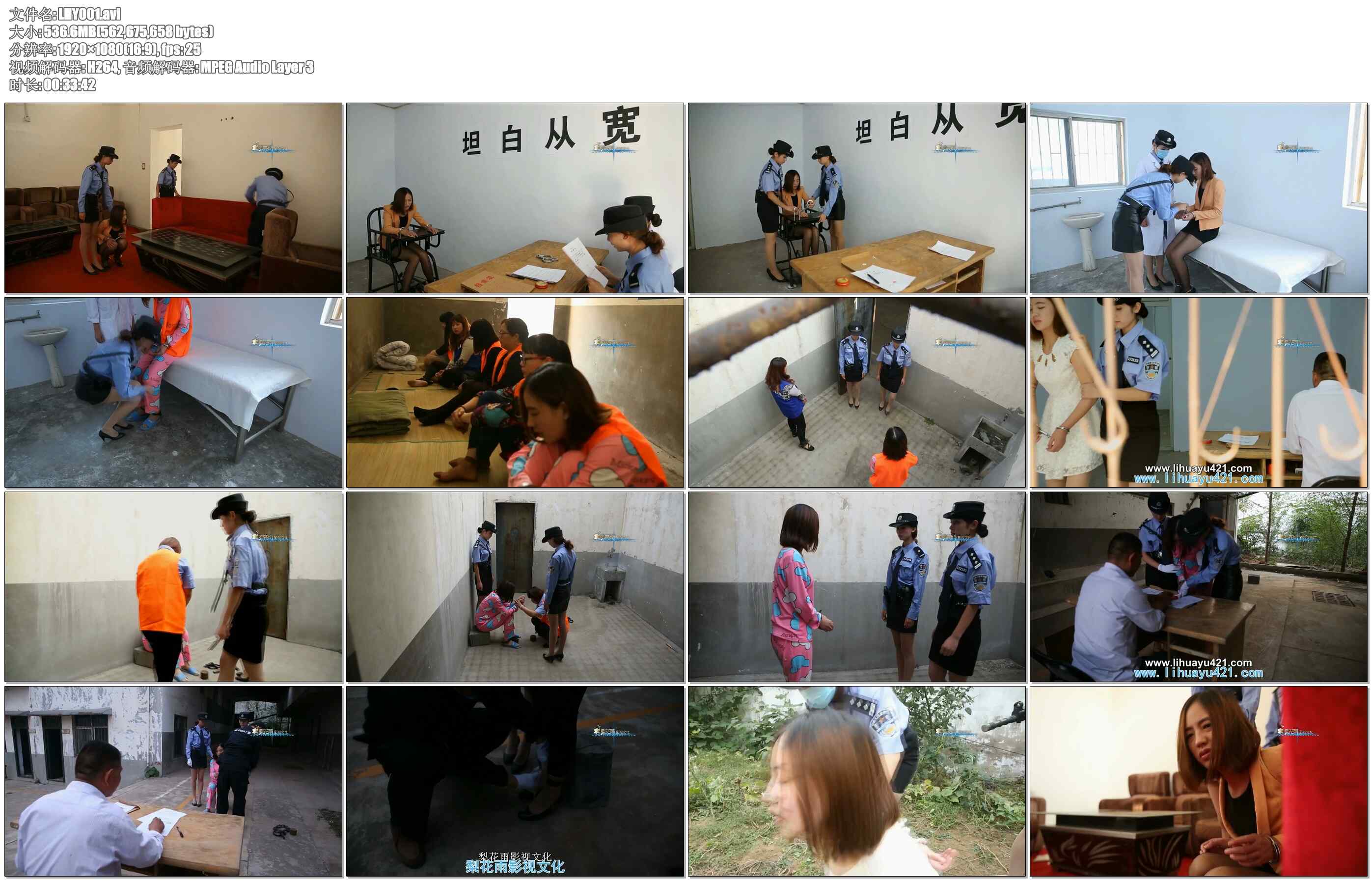 【梨花雨】秋风中的落叶