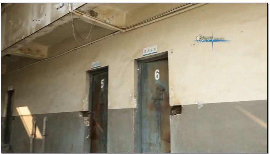 【梨花雨】秋风中的落叶