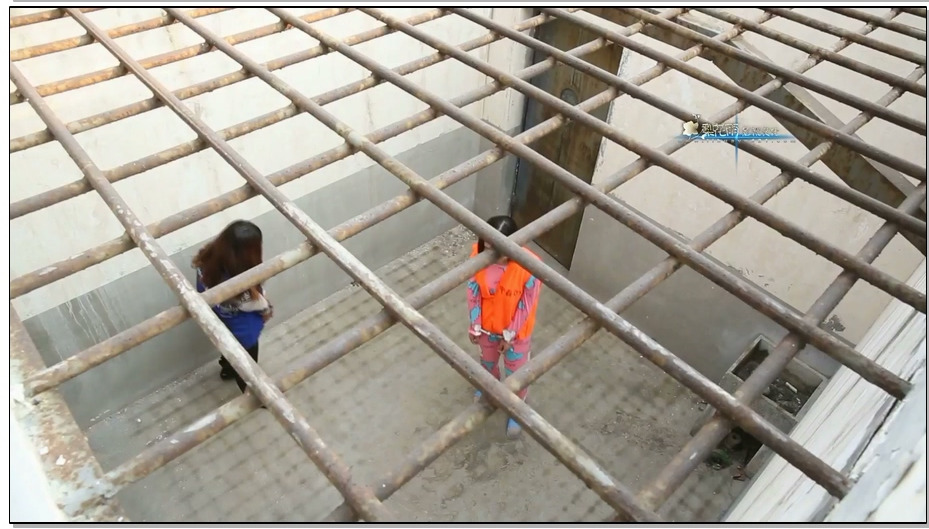 【梨花雨】秋风中的落叶