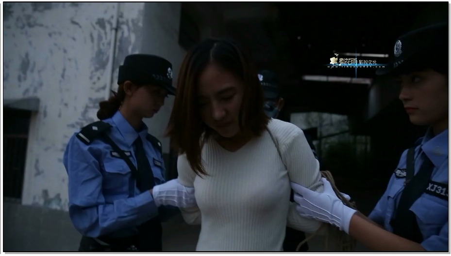 【梨花雨】秋风中的落叶