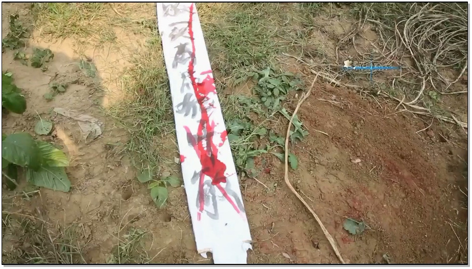 【梨花雨】秋风中的落叶