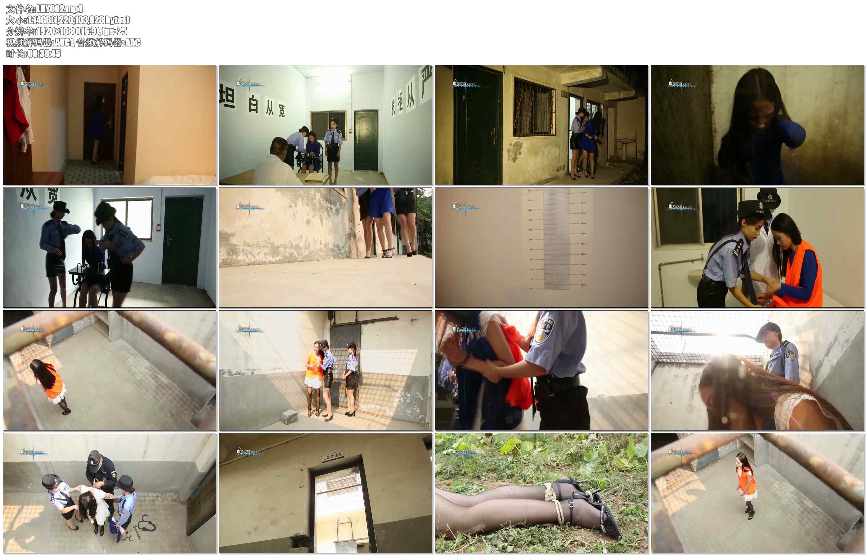 【梨花雨】凋落