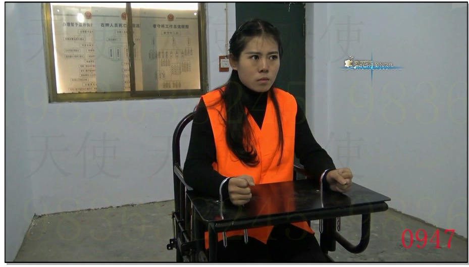 【梨花雨】缘愁似个长 上