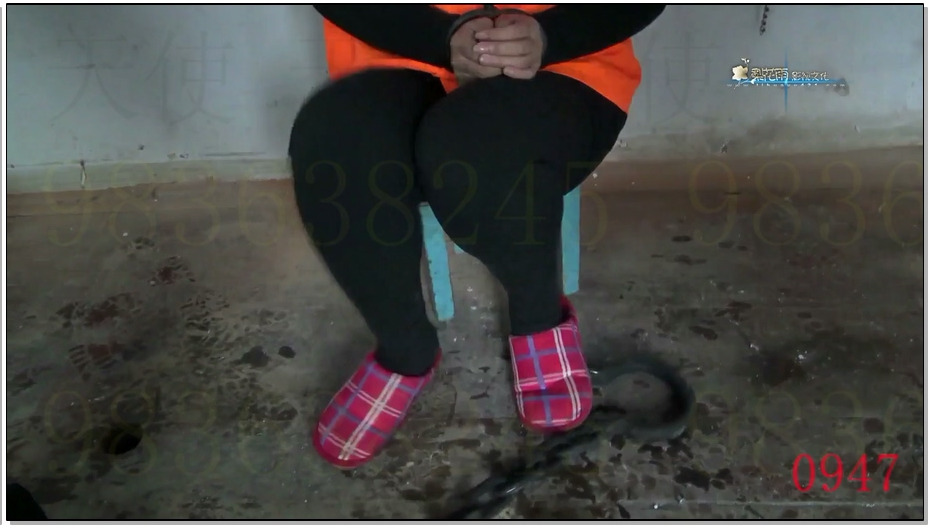 【梨花雨】缘愁似个长 下