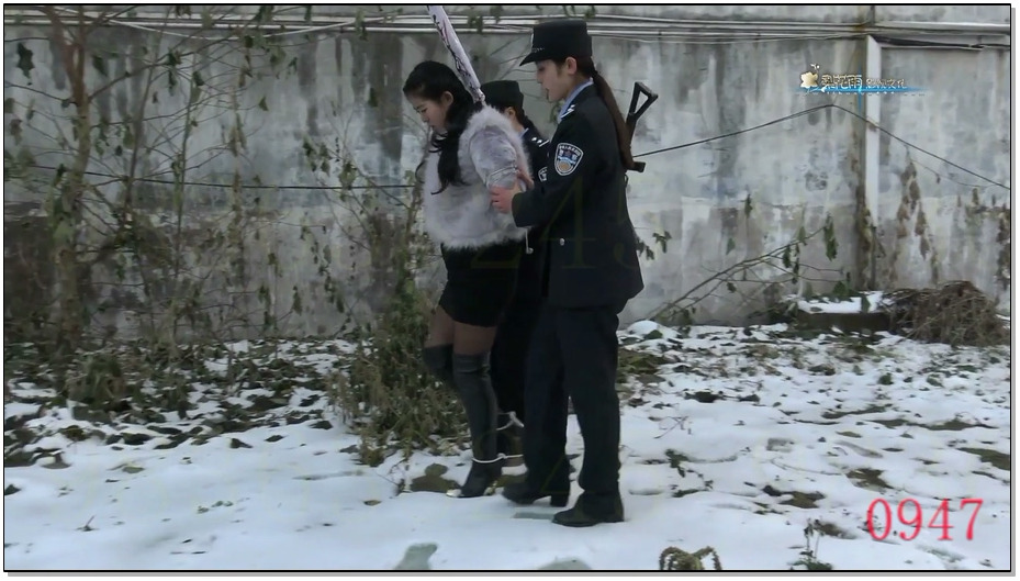 【梨花雨】缘愁似个长 下