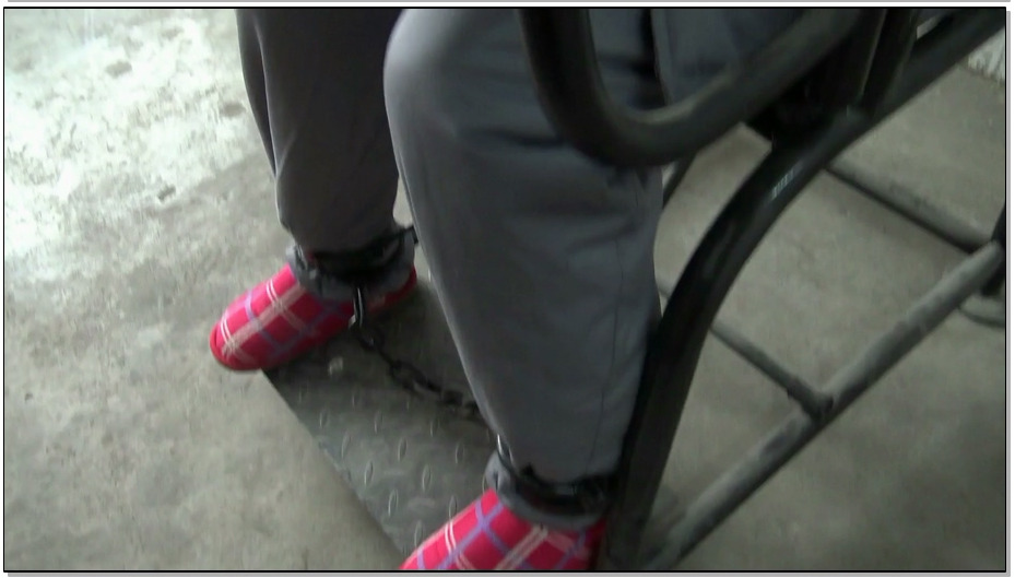 【梨花雨】女警与女囚 上