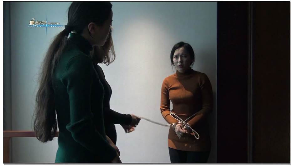 【梨花雨】诱捕2