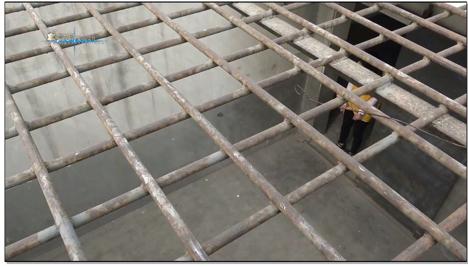 【梨花雨】丽人行