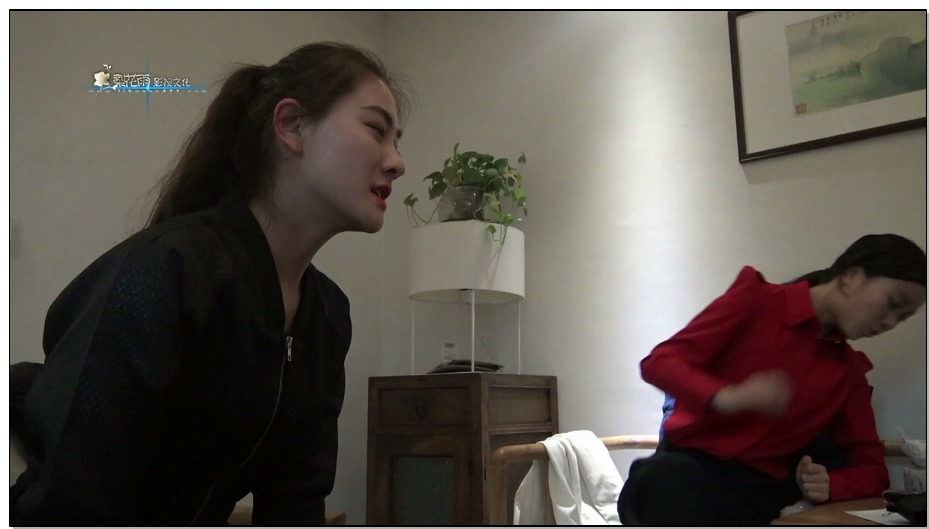 【梨花雨】VIP影片 抓捕 I