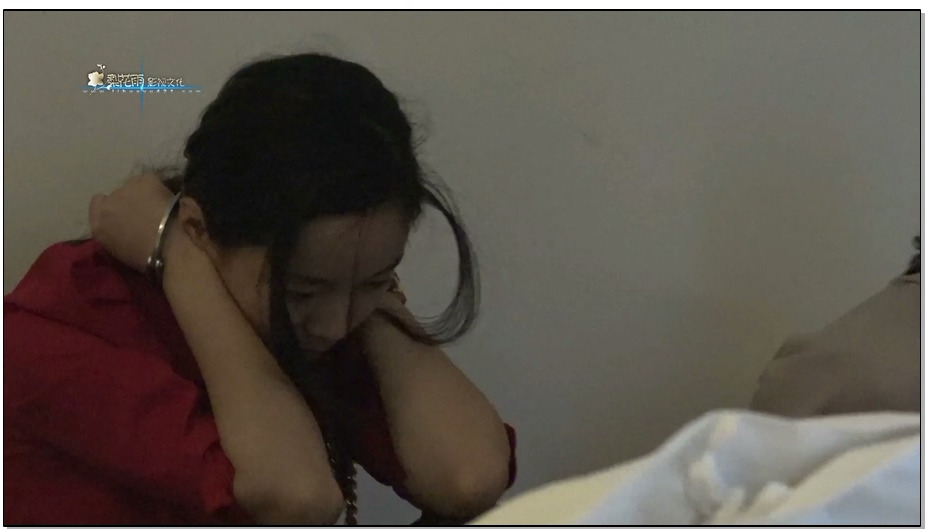 【梨花雨】VIP影片 抓捕 I