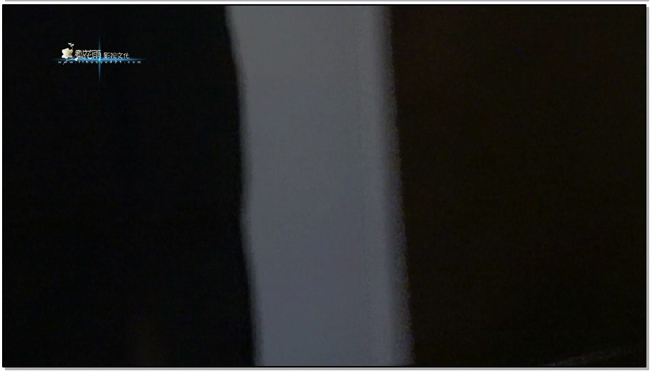 【梨花雨】VIP影片 抓捕 I