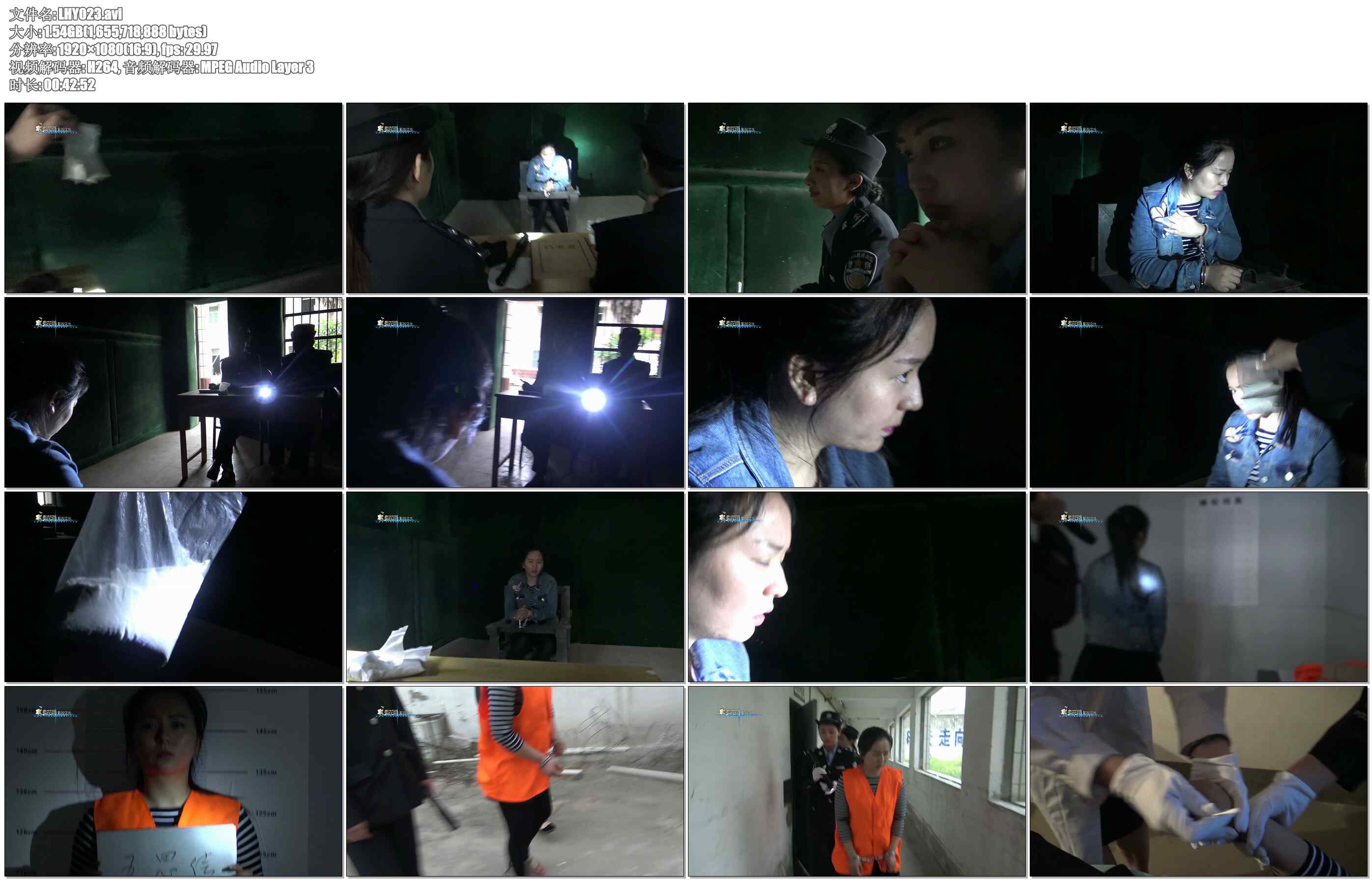 【梨花雨】VIP影片 审问