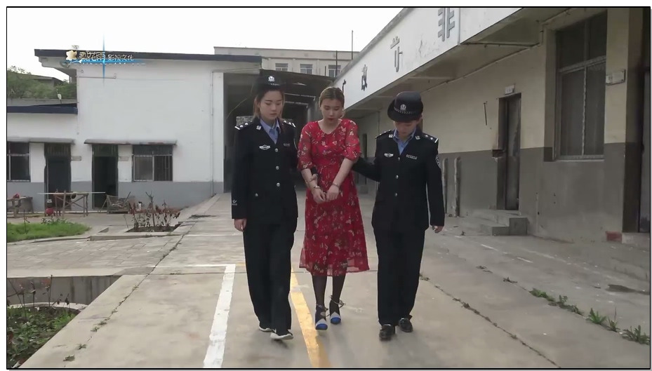 【梨花雨】VIP影片 情归何处