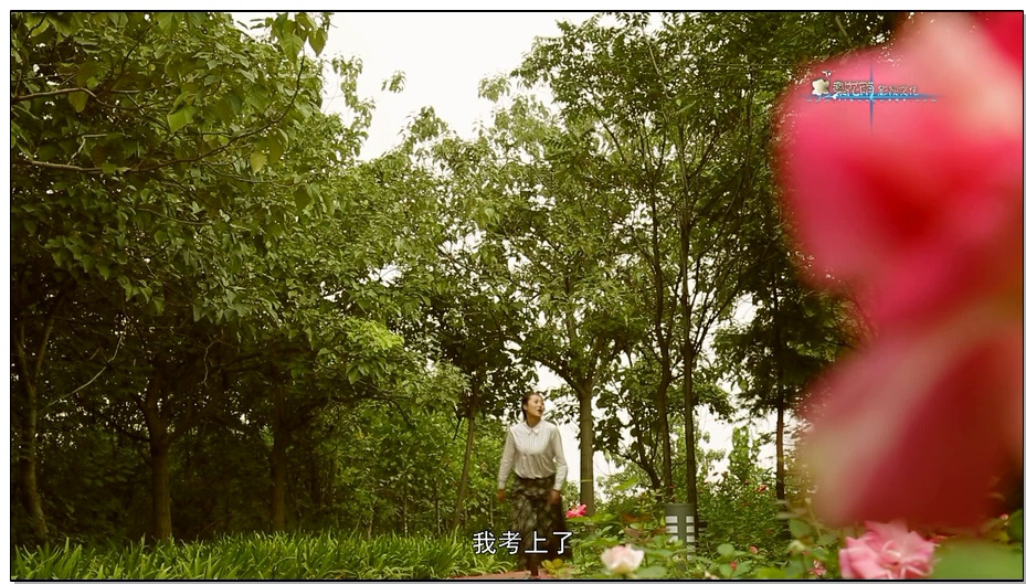 【梨花雨】追雪 全本[80分钟长片]