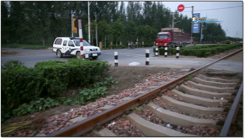 【梨花雨】追雪 全本[80分钟长片]