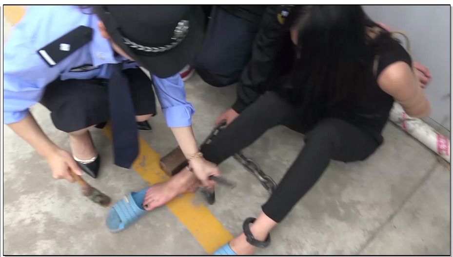 【梨花雨】妒花风雨便相催