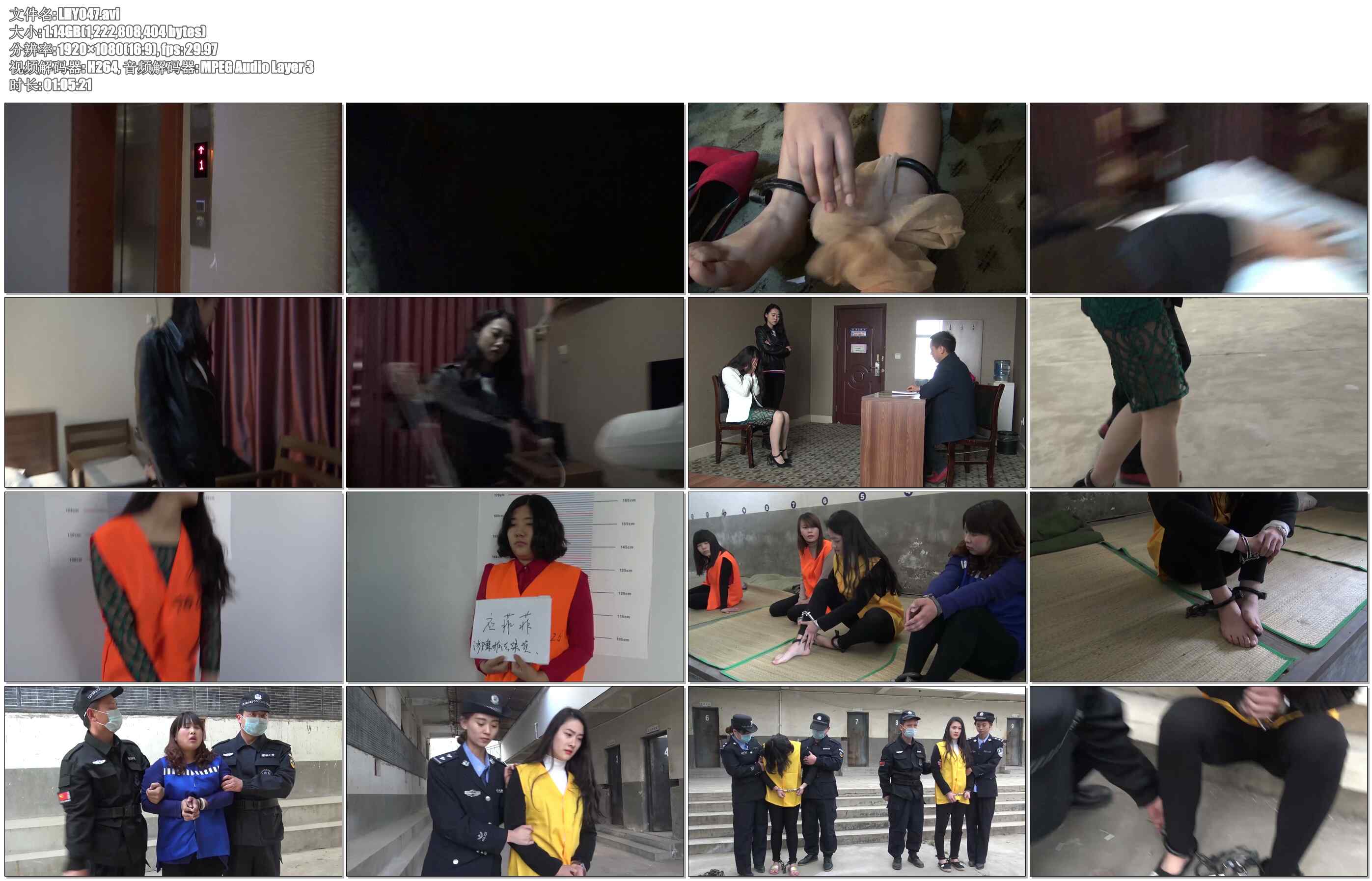 【梨花雨】张丽敏诈骗落网记