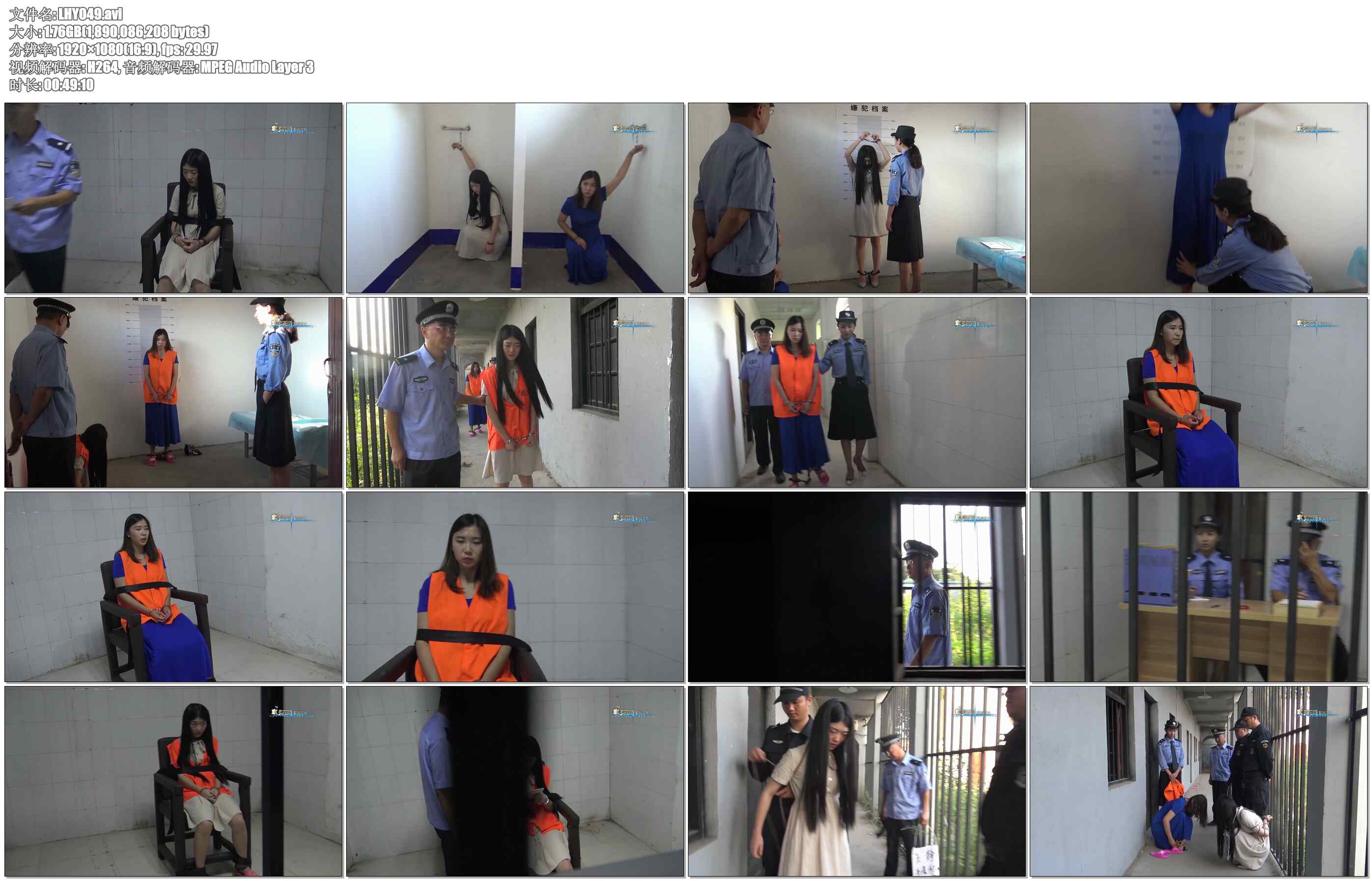 【梨花雨】VIP影片 网骗伏法记 下