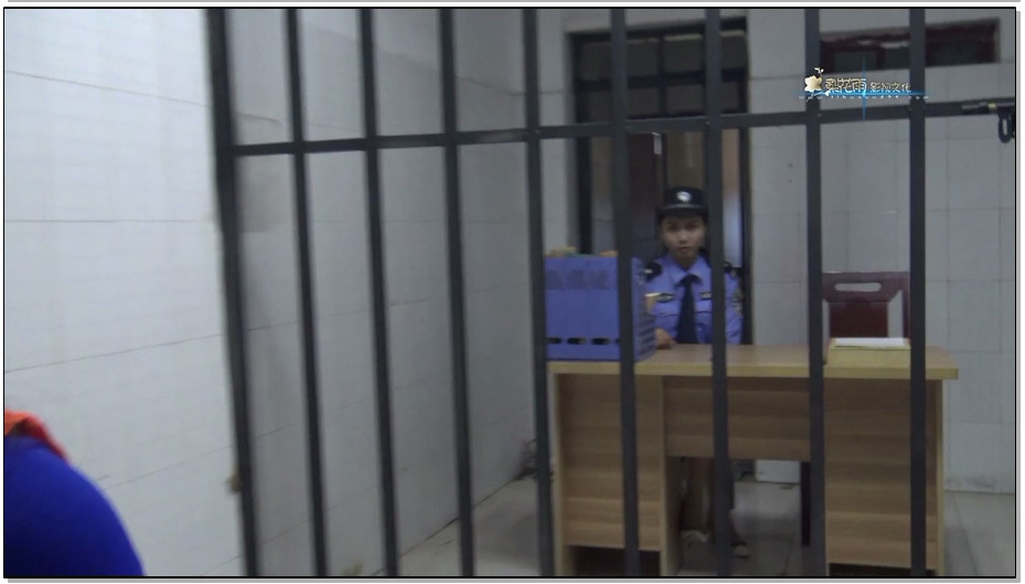 【梨花雨】VIP影片 网骗伏法记 下