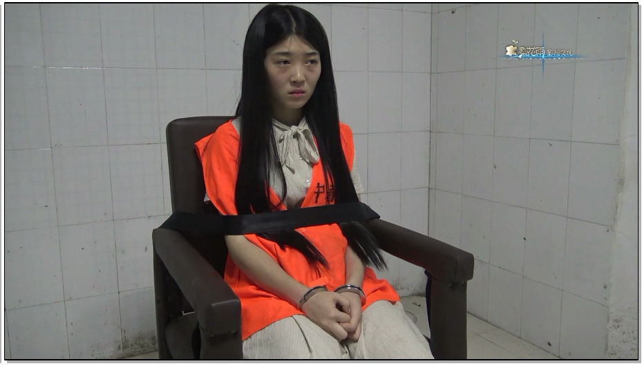 【梨花雨】VIP影片 网骗伏法记 下