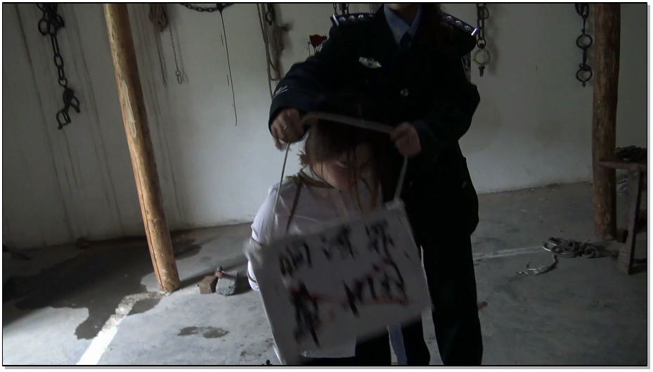 【梨花雨】女间谍章姻伏法记