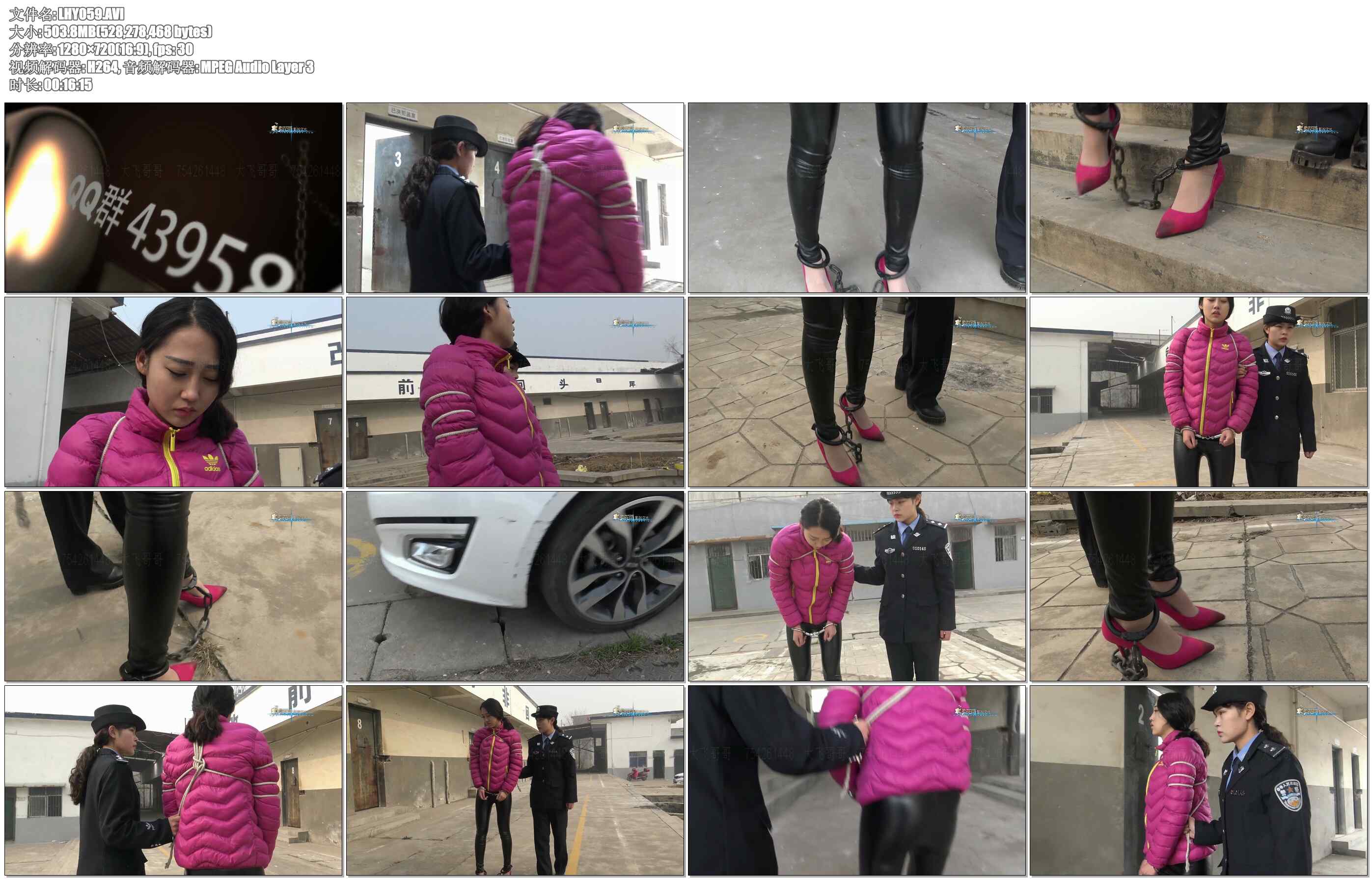 【梨花雨】押解