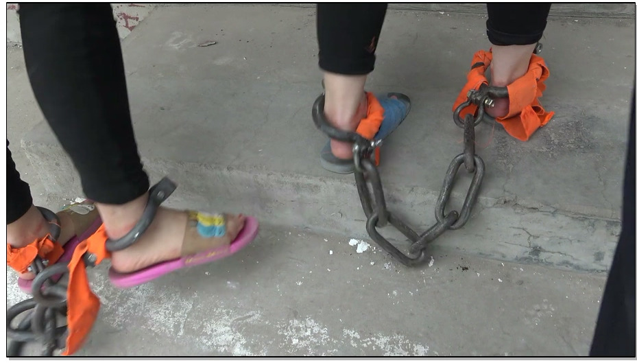 【梨花雨】冰璇之殇